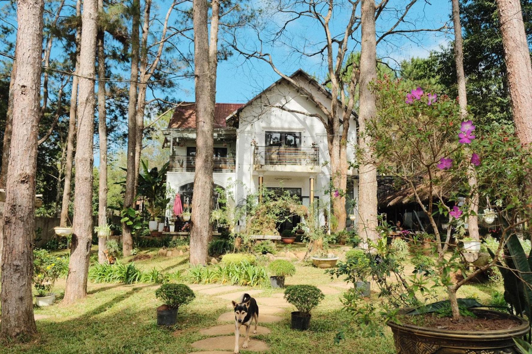 S'Nghe Homestay Mang Den Kon Von Kla ภายนอก รูปภาพ