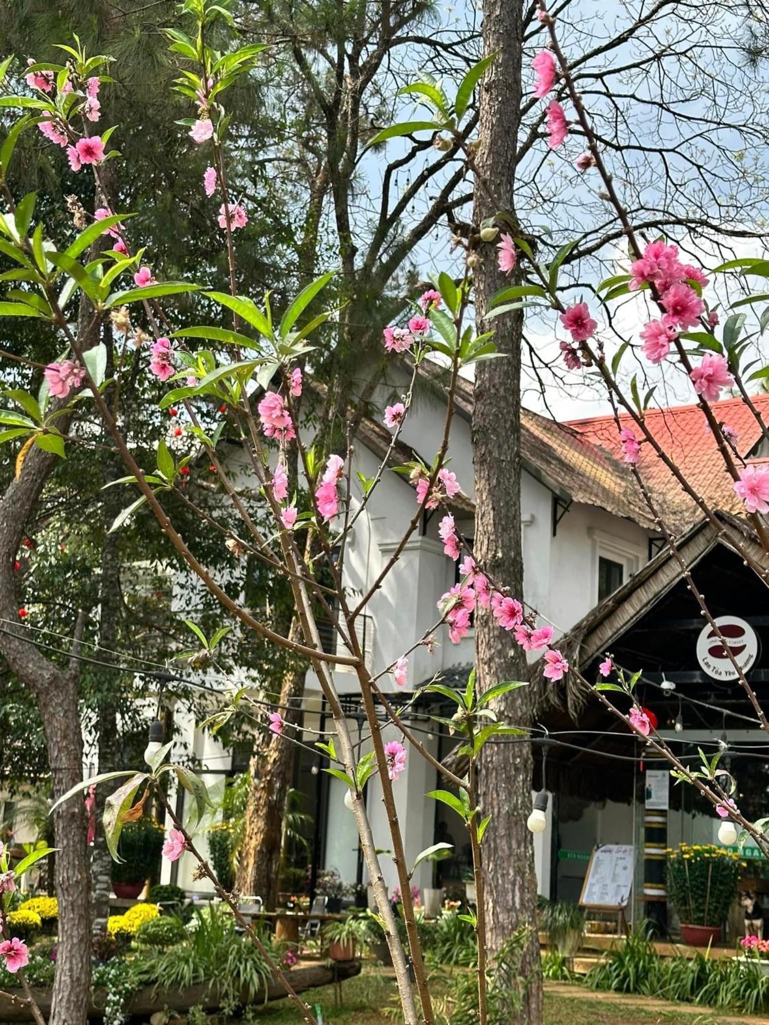 S'Nghe Homestay Mang Den Kon Von Kla ภายนอก รูปภาพ