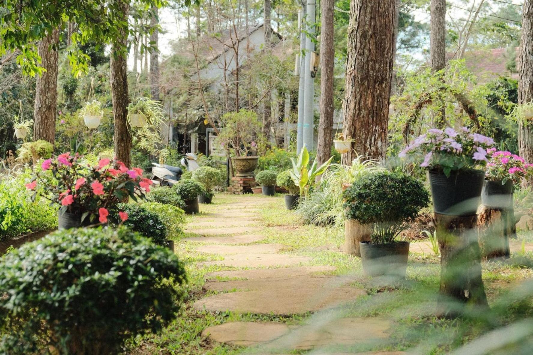 S'Nghe Homestay Mang Den Kon Von Kla ภายนอก รูปภาพ