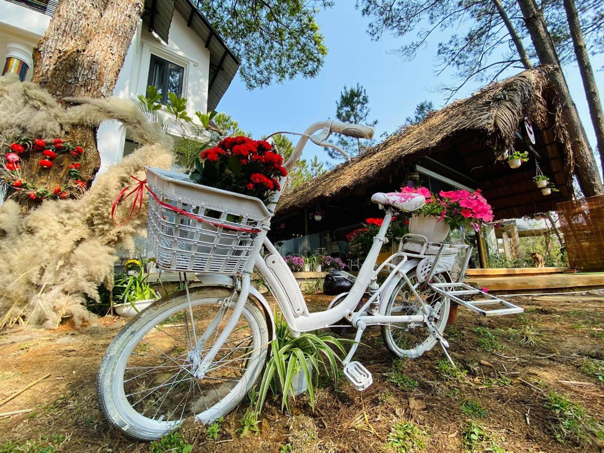 S'Nghe Homestay Mang Den Kon Von Kla ภายนอก รูปภาพ